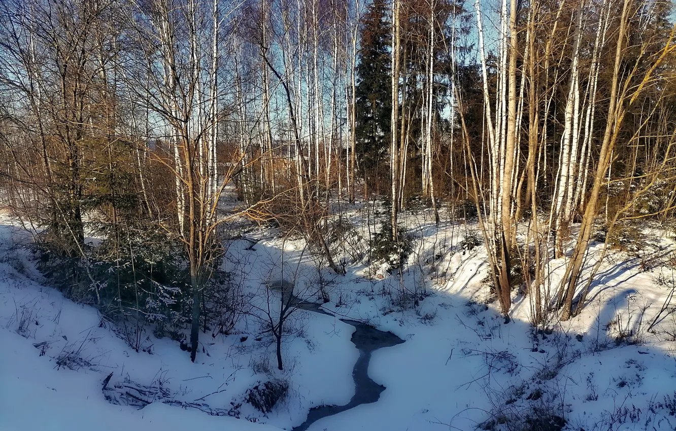 Фото обои зима, лес, природа, ручей, солнечный день
