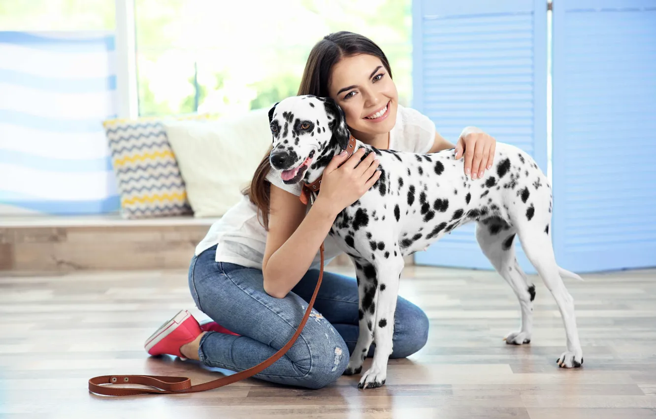 Фото обои девушка, настроение, собака, далматин, dog, dalmatian