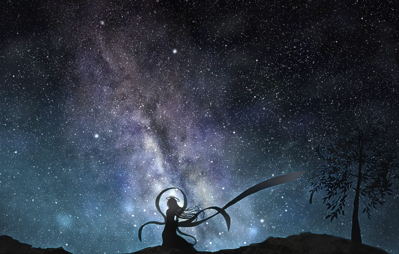 Фото обои девушка, деревья, силуэт, звездное небо