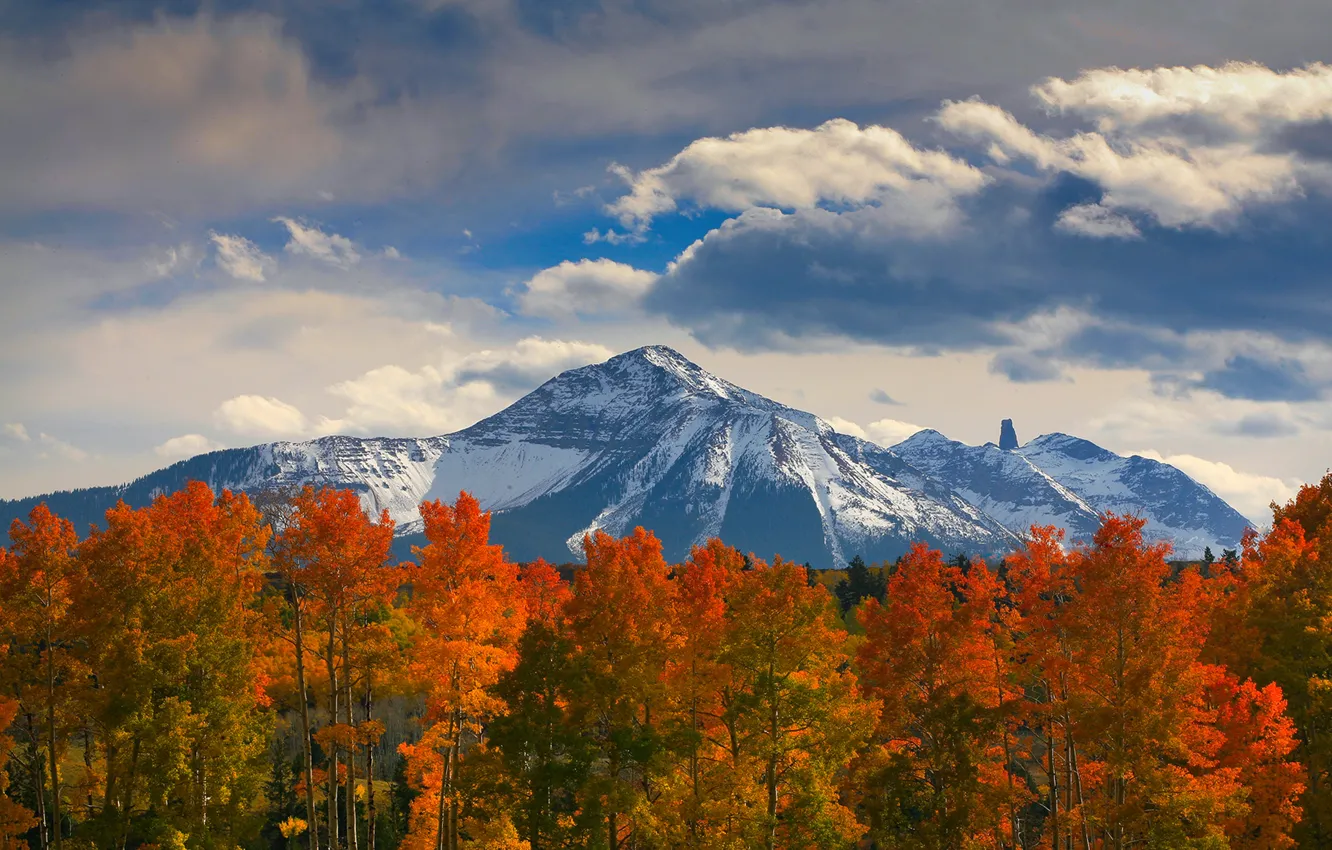 Фото обои осень, лес, небо, облака, снег, деревья, горы, природа