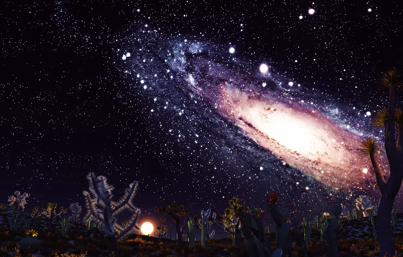Фото обои небо, звезды, свет, цветы, вселенная, планета, растения, галлактика