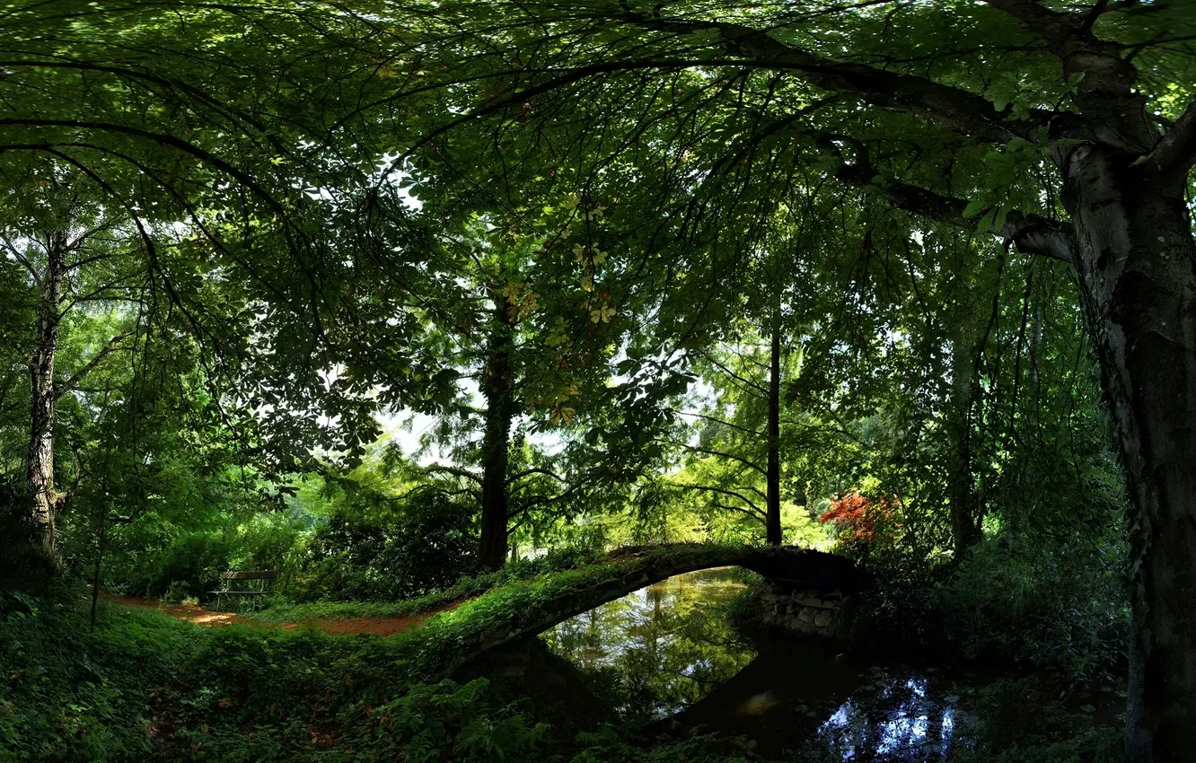 Фото обои зелень, вода, деревья, мост, отражение, лавочка