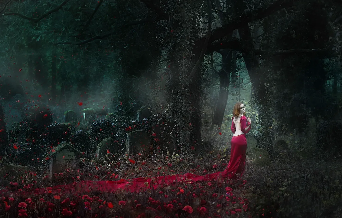 Фото обои девушка, призрак, кладбище, Lady in Red