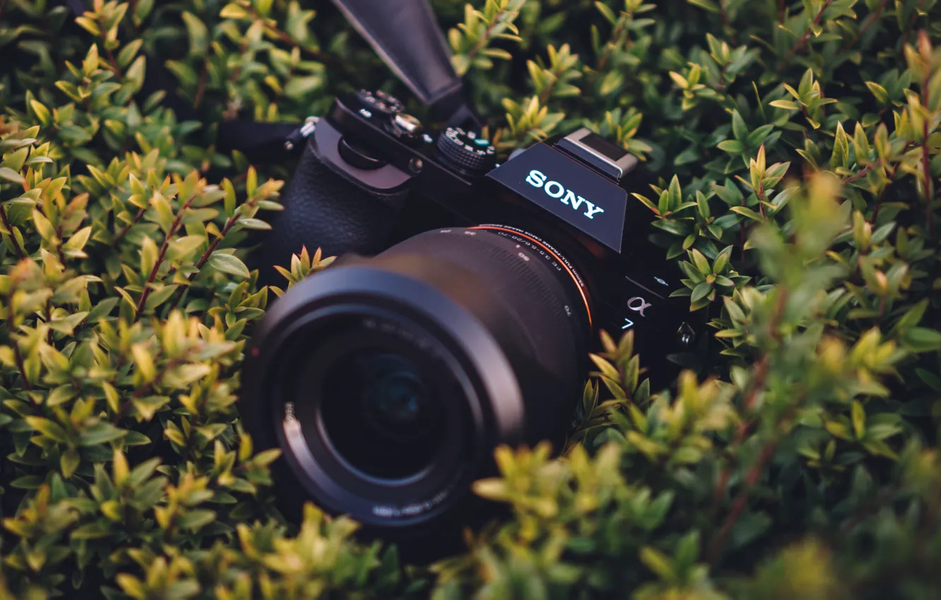 Фото обои макро, фон, камера, Sony A7