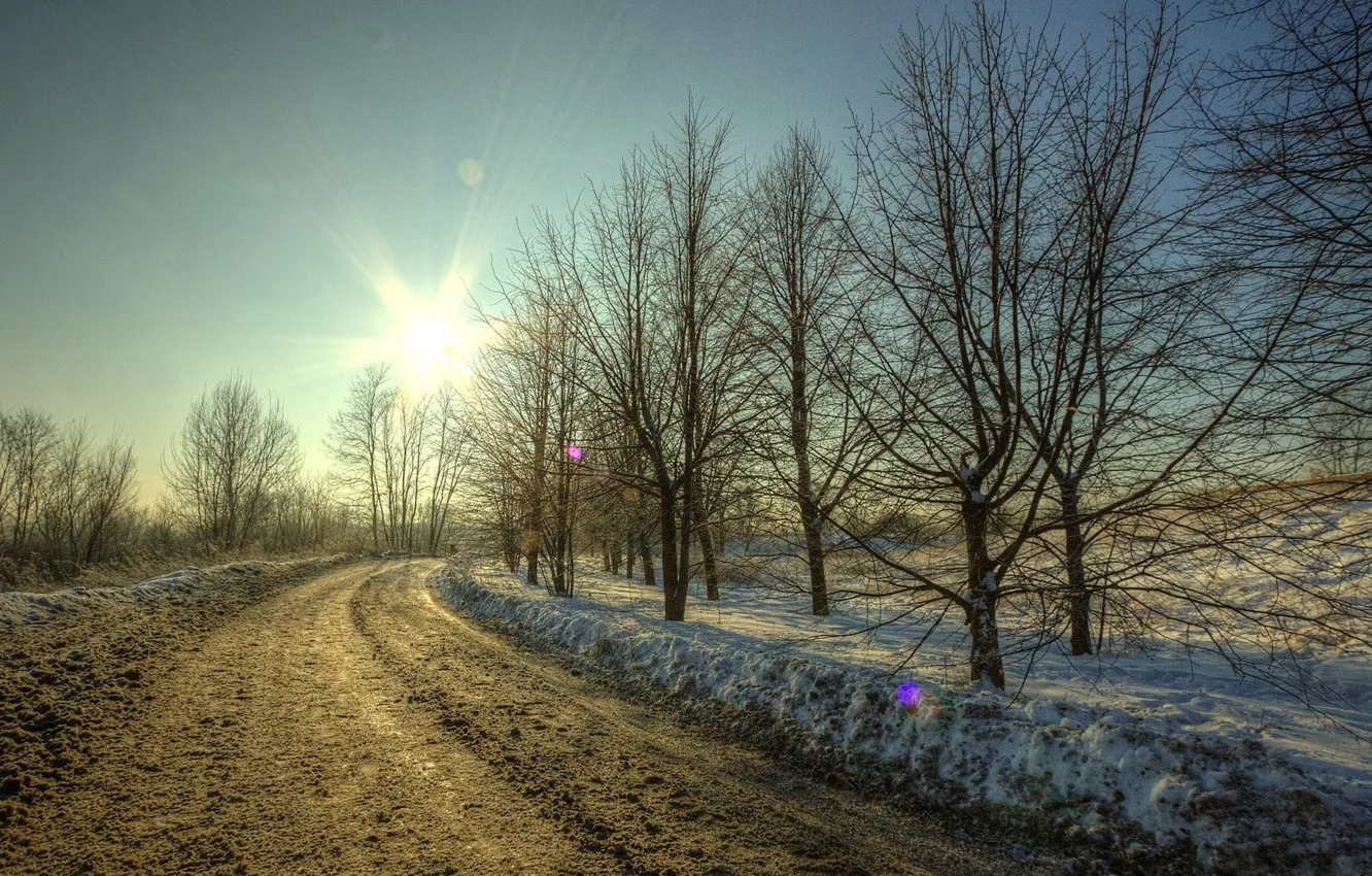 Фото обои дорога, солнце, снег, деревья, Зима, грязь