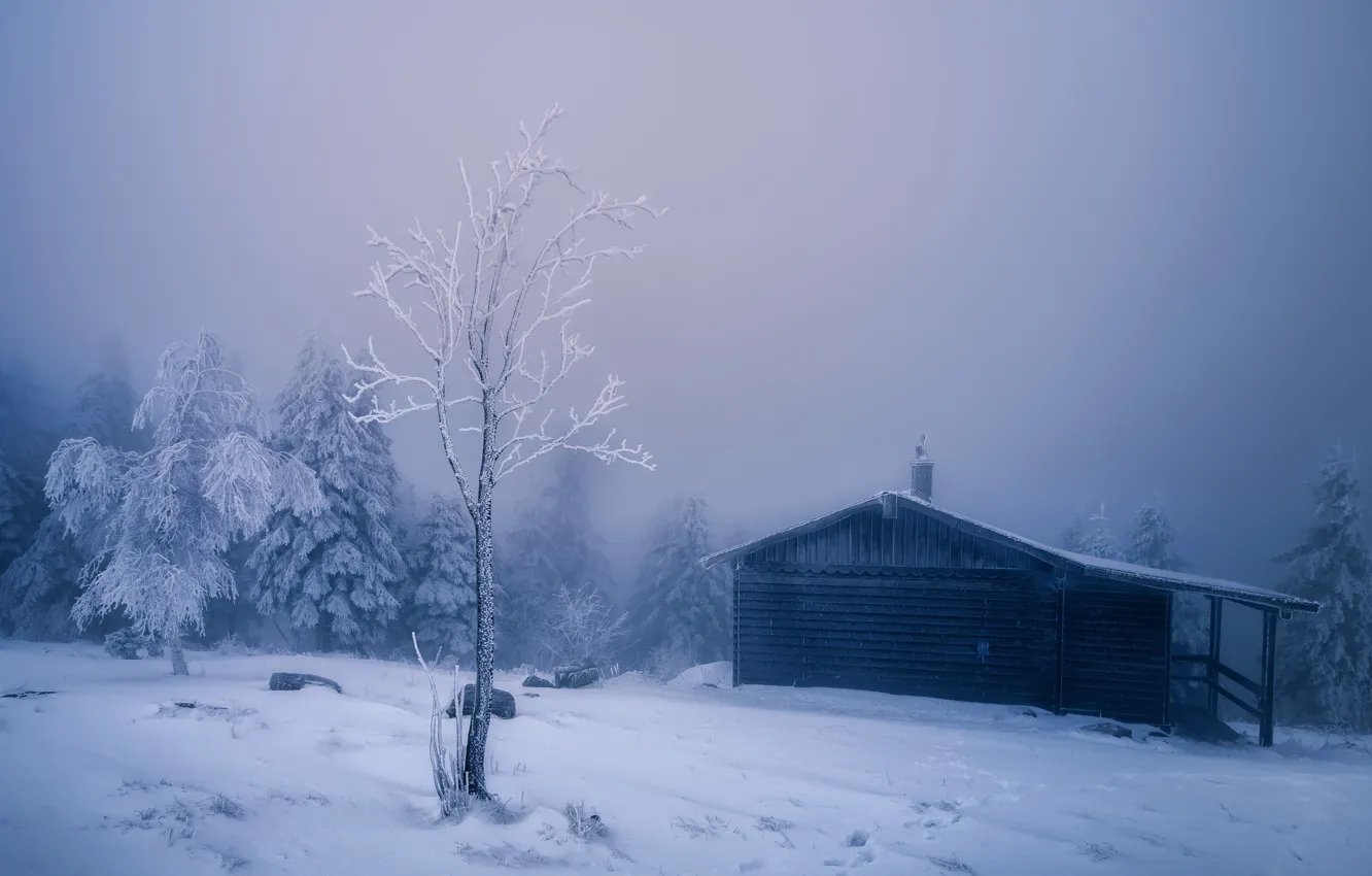 Фото обои зима, снег, туман, дом