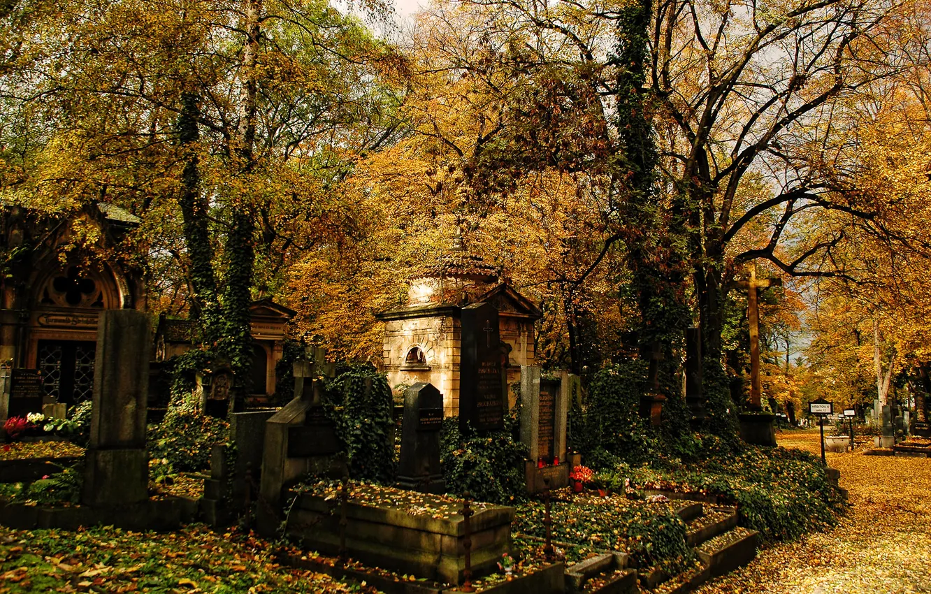 Фото обои autumn, cemetery, tombs, mausoleum, tombstones