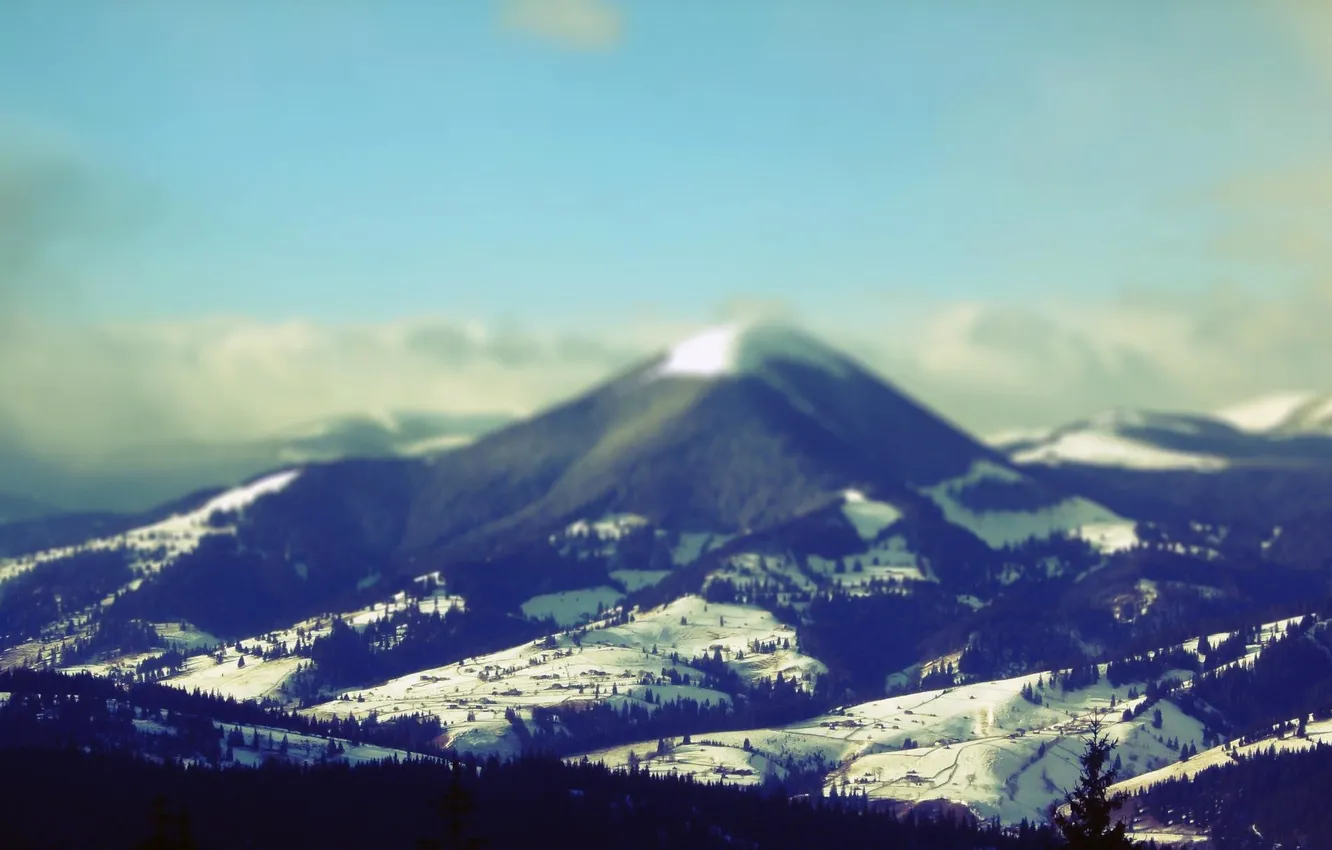 Фото обои лес, небо, снег, горы