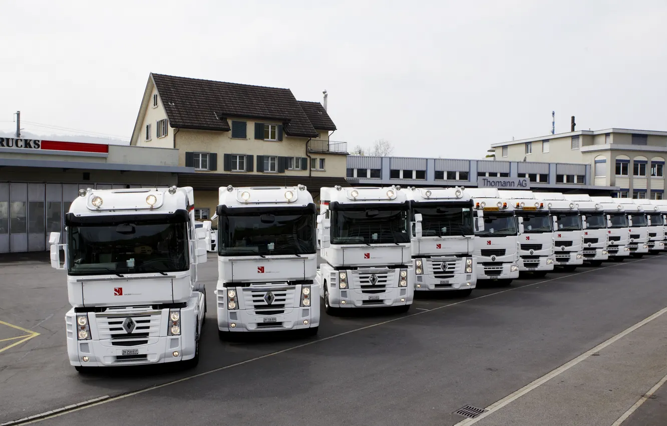 Фото обои грузовики, Renault, ряд, белые, Magnum, Premium Route, Midlum, Renault Trucks