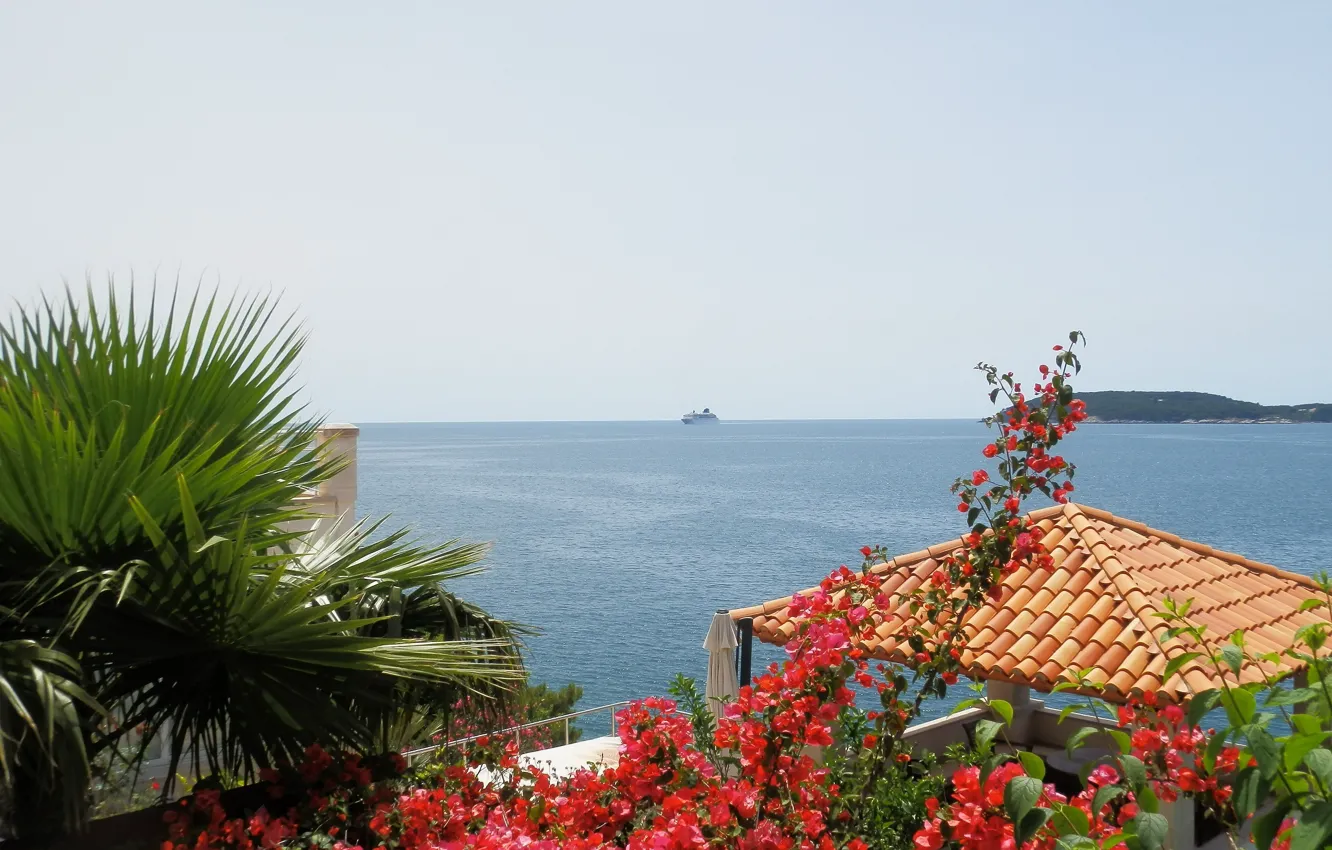 Фото обои море, синий, побережье, Цветы, Дубровник, Dubrovnik