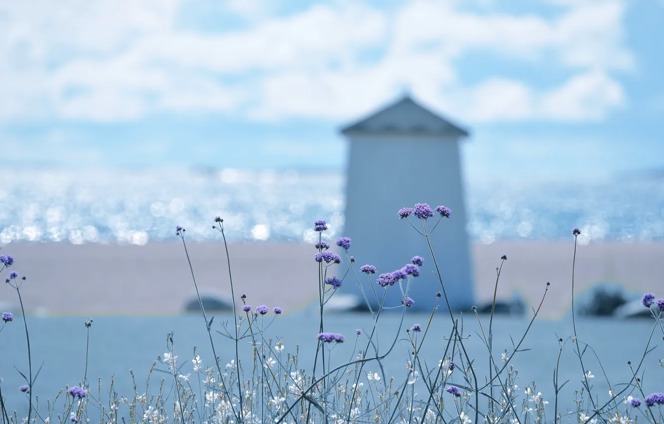 Фото обои море, лето, берег