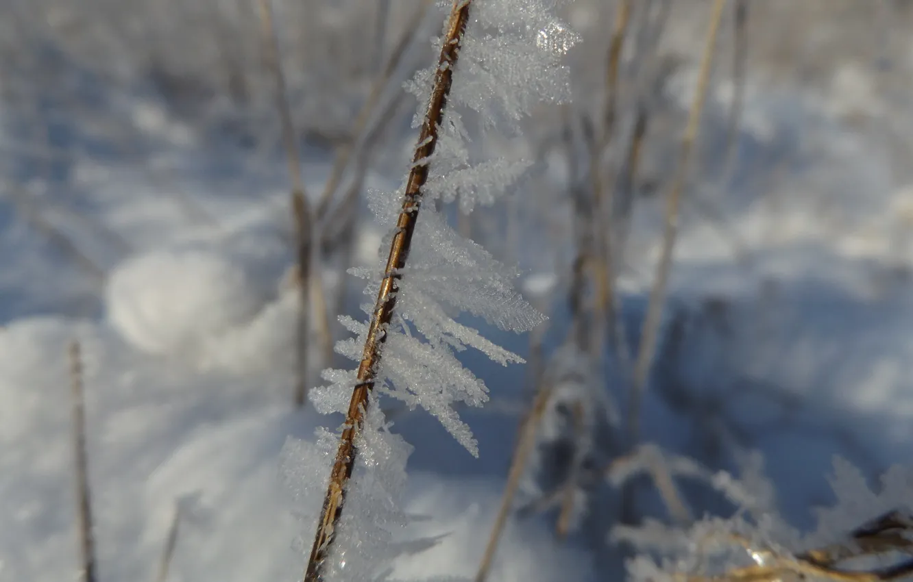 Фото обои зима, кристалл, снег, природа