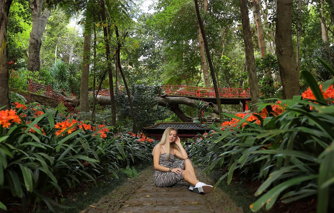 Фото обои forest, long hair, hot girl, trees, nature, bridge, model, garden