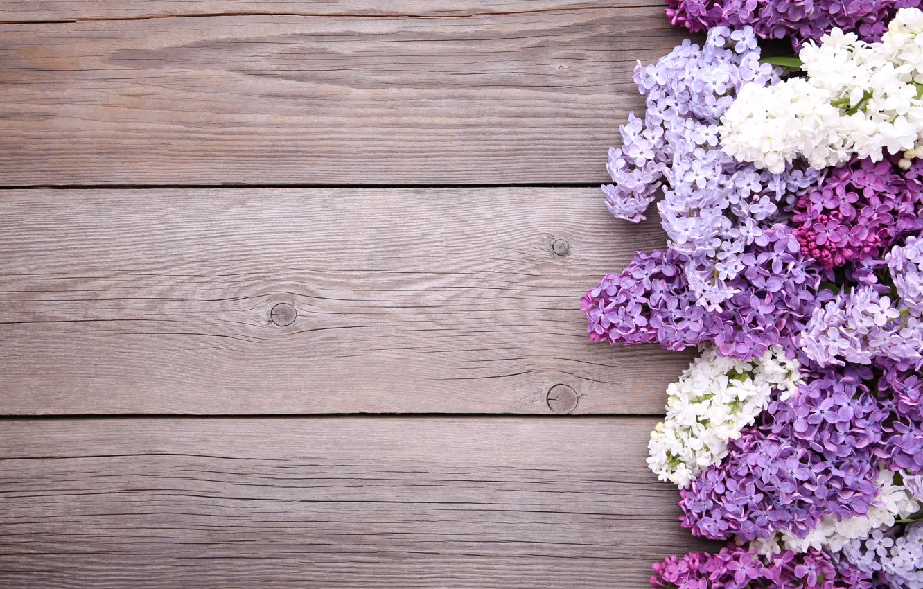 Фото обои цветы, фон, wood, flowers, сирень, purple, lilac