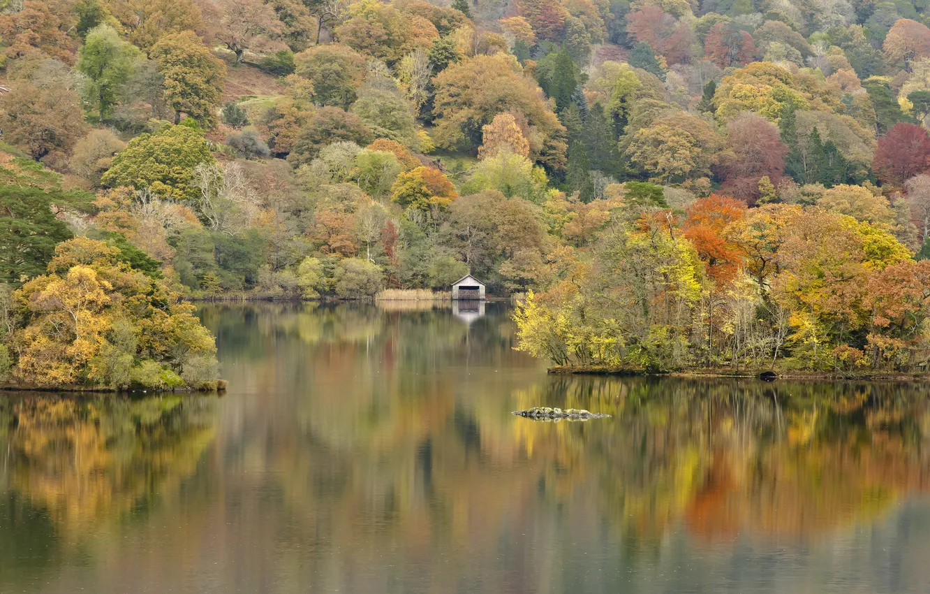 Фото обои осень, деревья, озеро, дом, холмы