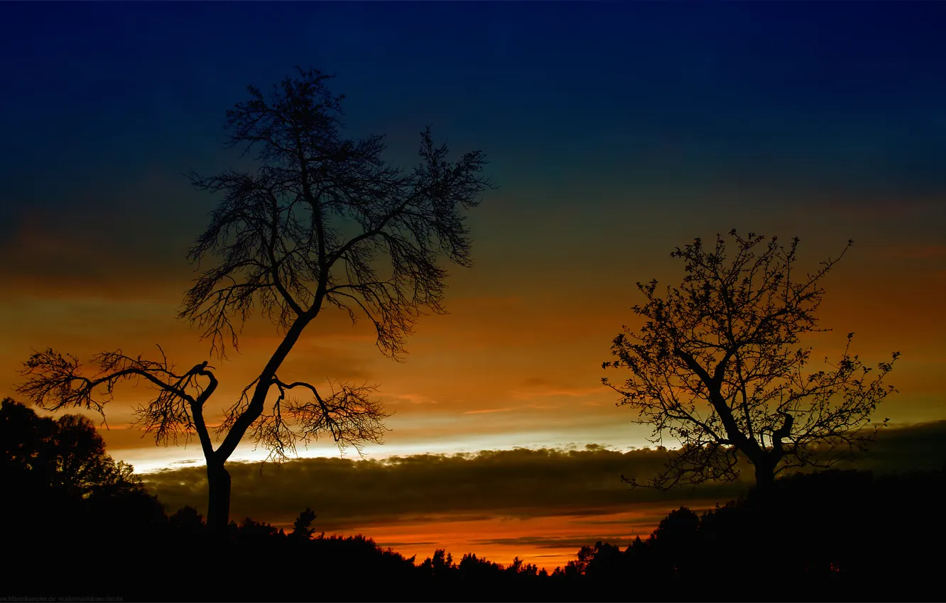 Фото обои небо, деревья, пейзаж, закат, природа, вечер