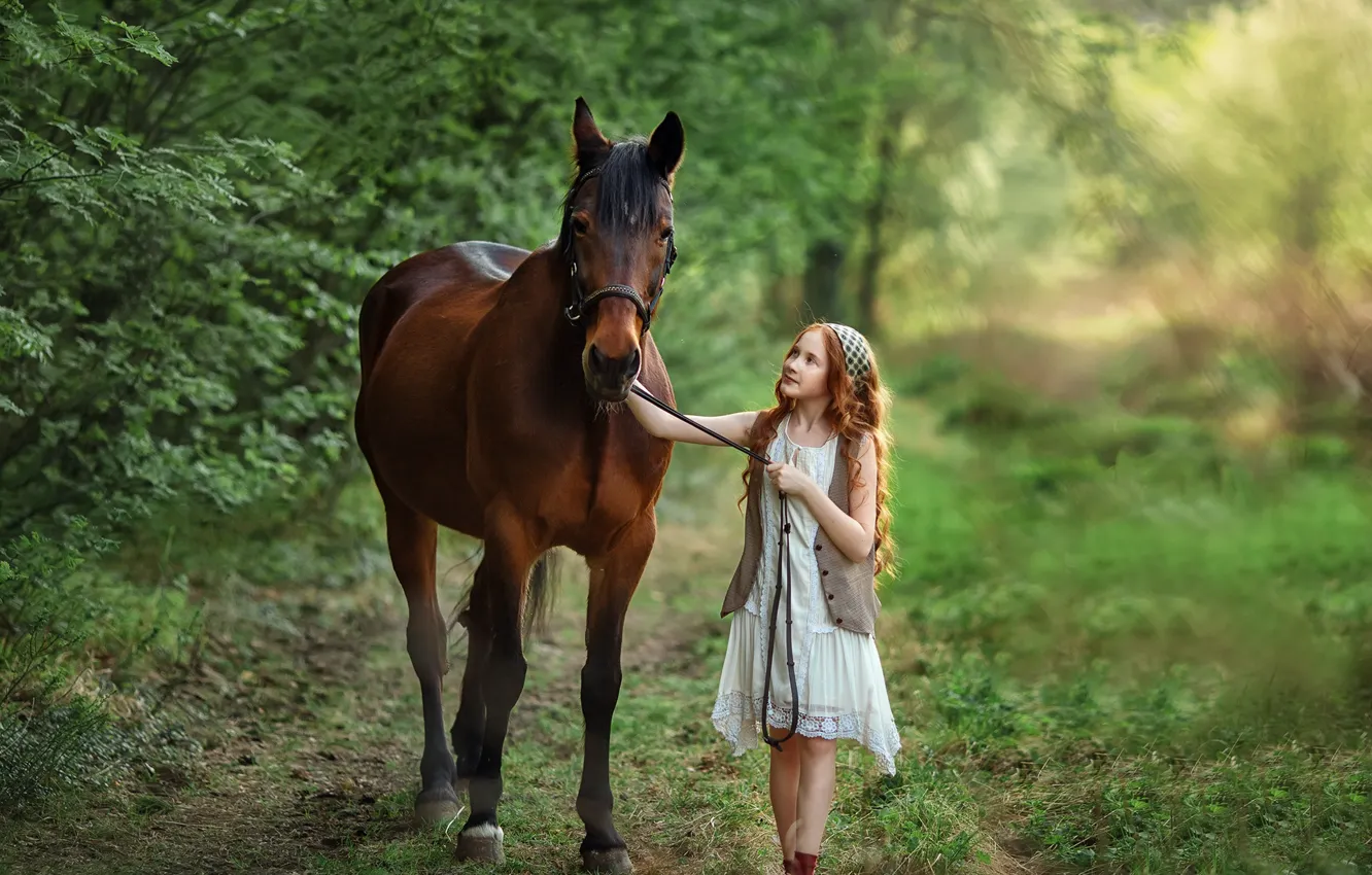 Фото обои лето, природа, лошадь, девочка, прогулка