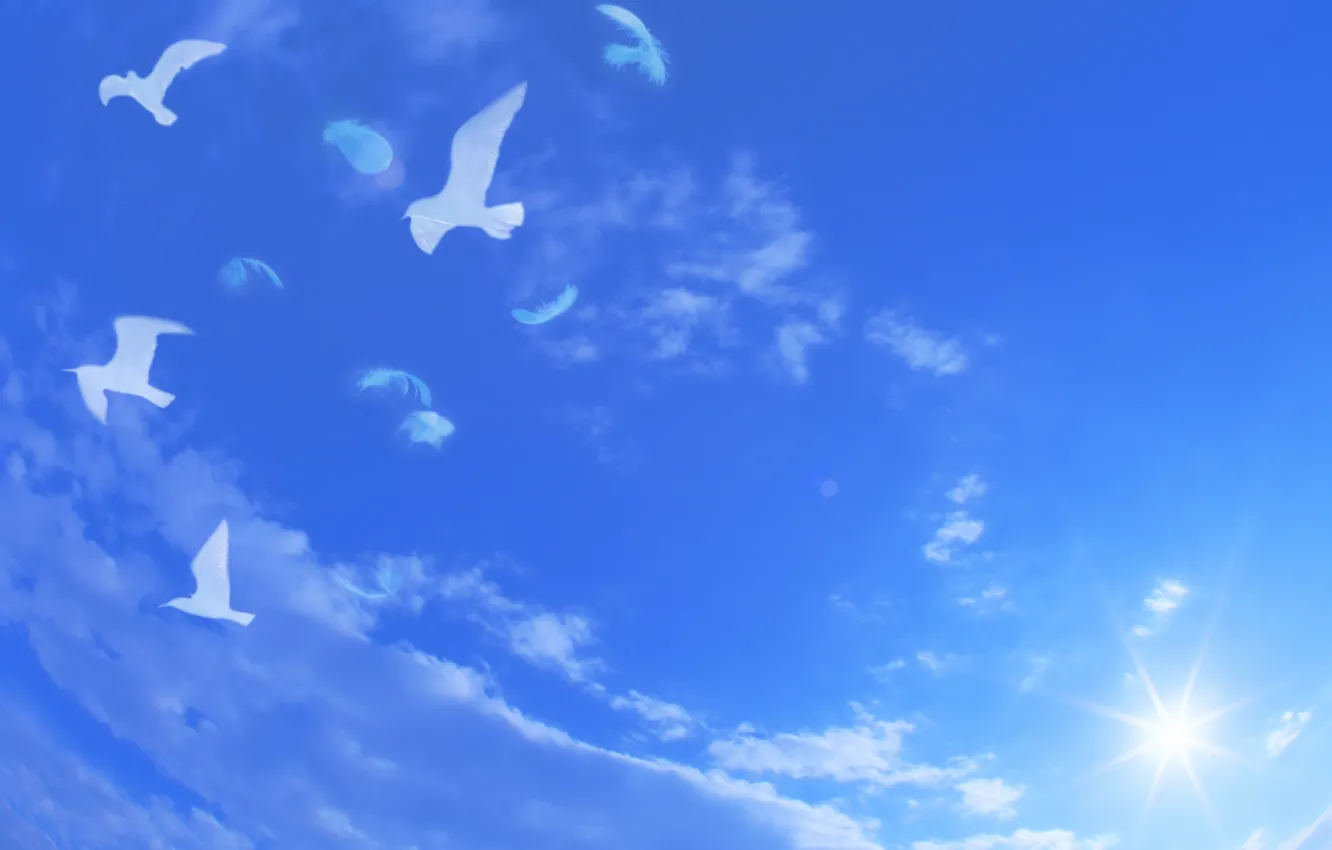 Фото обои небо, облака, полет, пейзаж, голубое, перья, голуби, белые