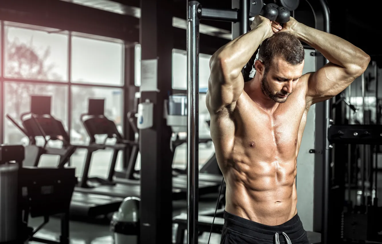Фото обои поза, muscle, мышцы, пресс, тренировка, атлет, тренажеры, бодибилдер