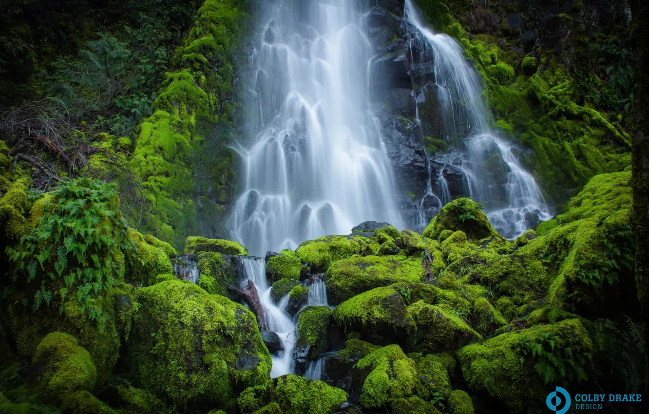 Фото обои зелень, камни, водопад, мох, поток, Река Колумбия