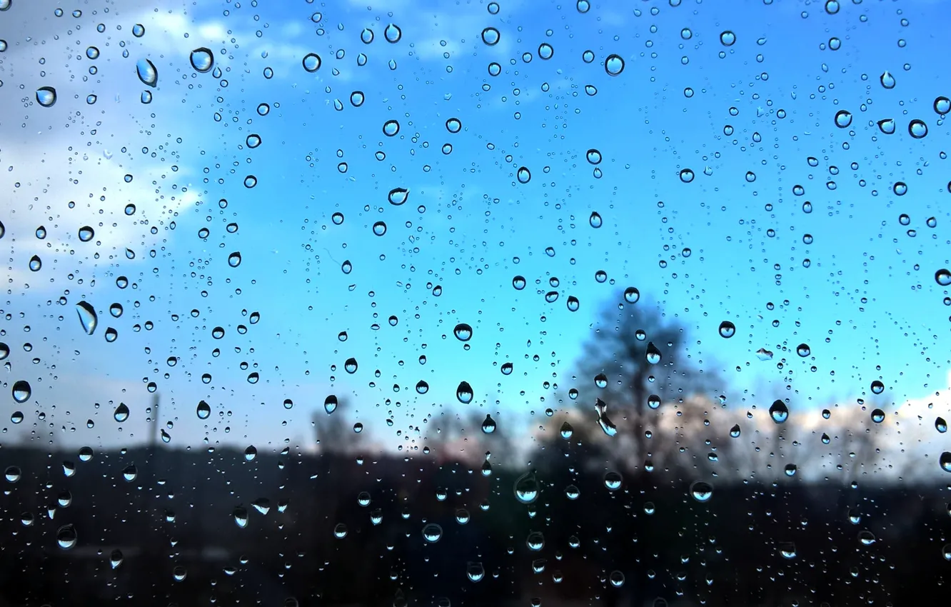 Фото обои небо, стекло, капли, макро, дождь