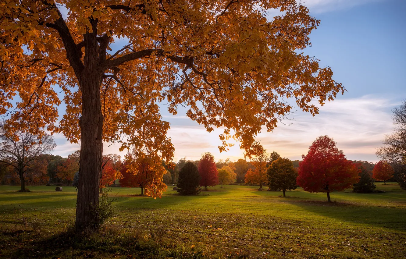 Фото обои осень, деревья, парк, Висконсин, Wisconsin