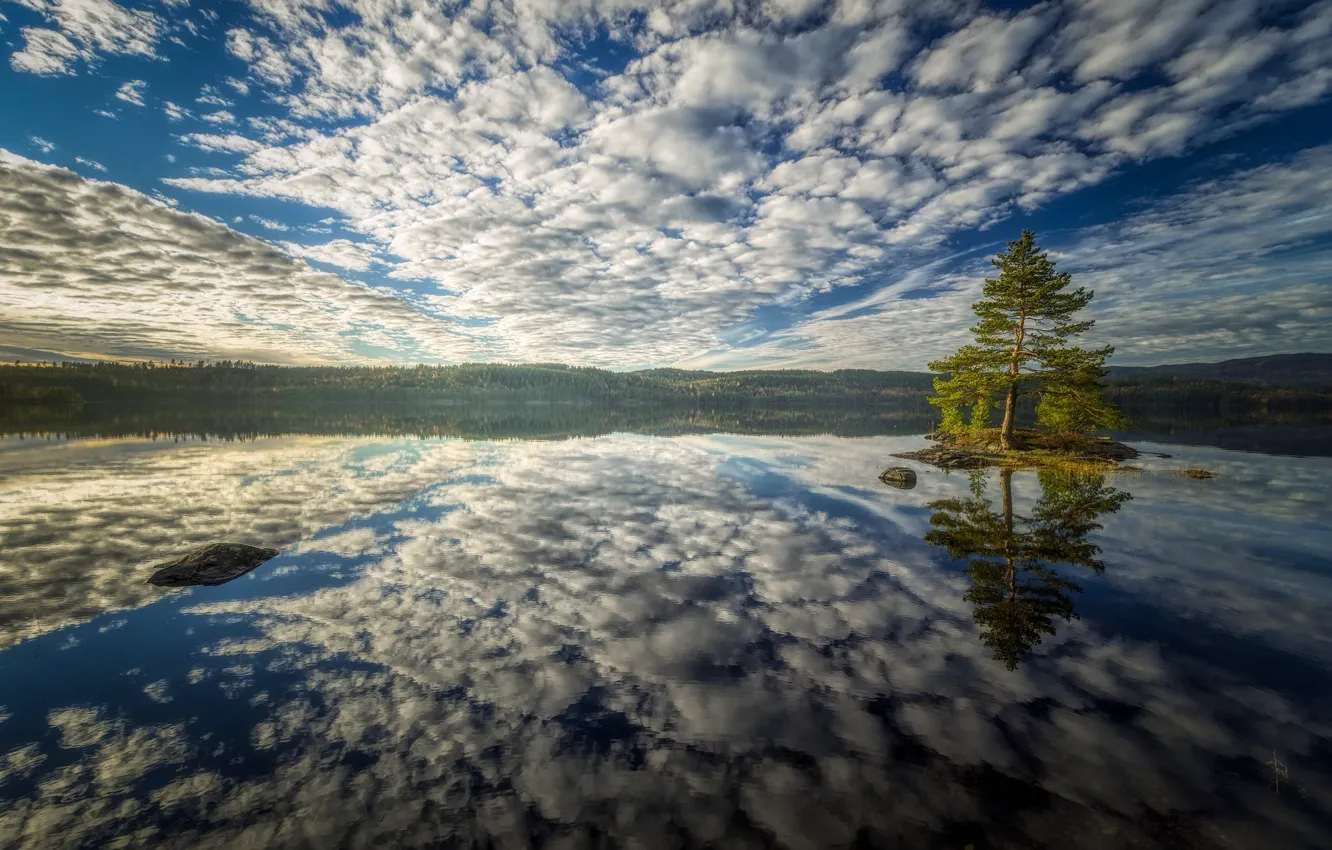 Фото обои небо, вода, облака, отражение, дерево, залив, островок, сосна
