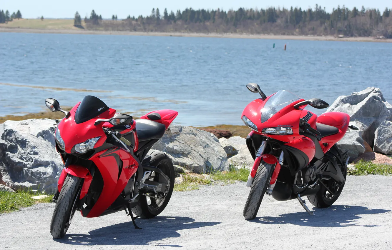 Фото обои красный, мотоциклы, red, суперспорт, honda, хонда, supersport, buell