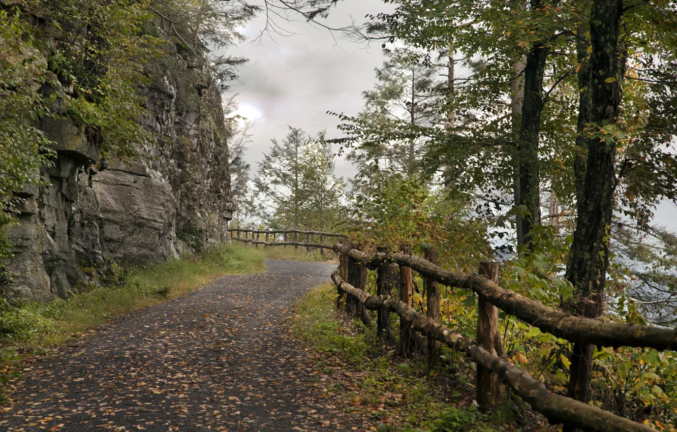 Фото обои дорога, осень, пасмурно, скалы, листва, Nature, road, autumn