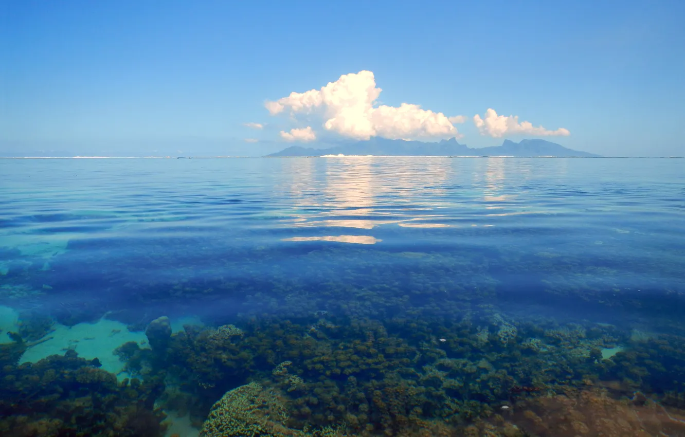 Фото обои море, облака, кораллы, горизонт