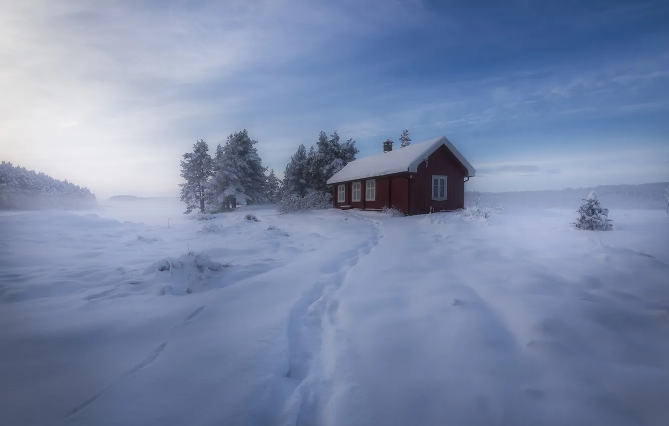 Фото обои зима, снег, деревья, Норвегия, домик