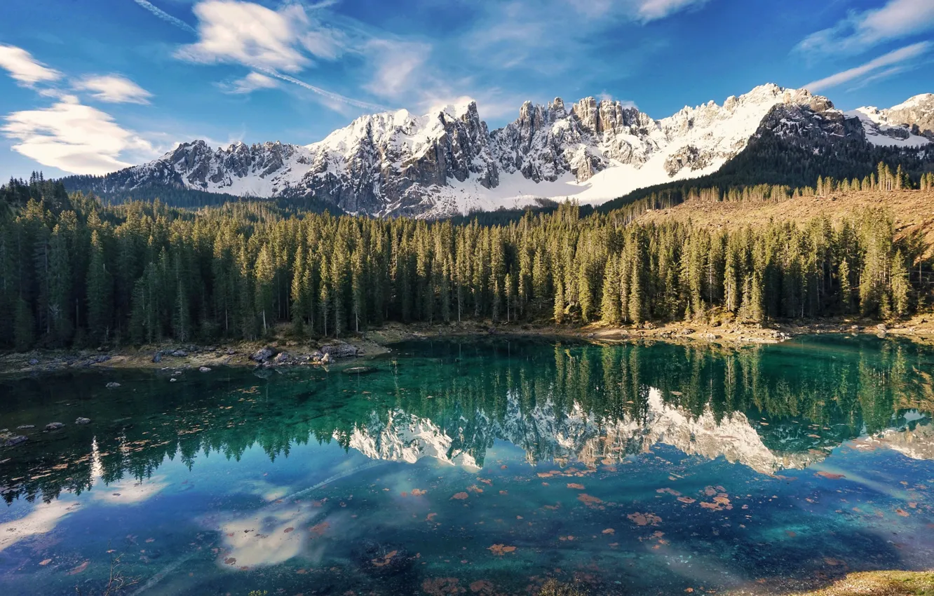 Фото обои лес, горы, водоем
