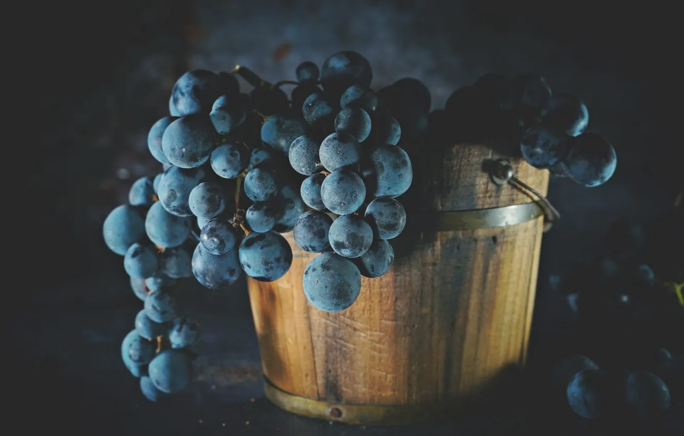 Фото обои темный фон, виноград, ведро, натюрморт, кадка