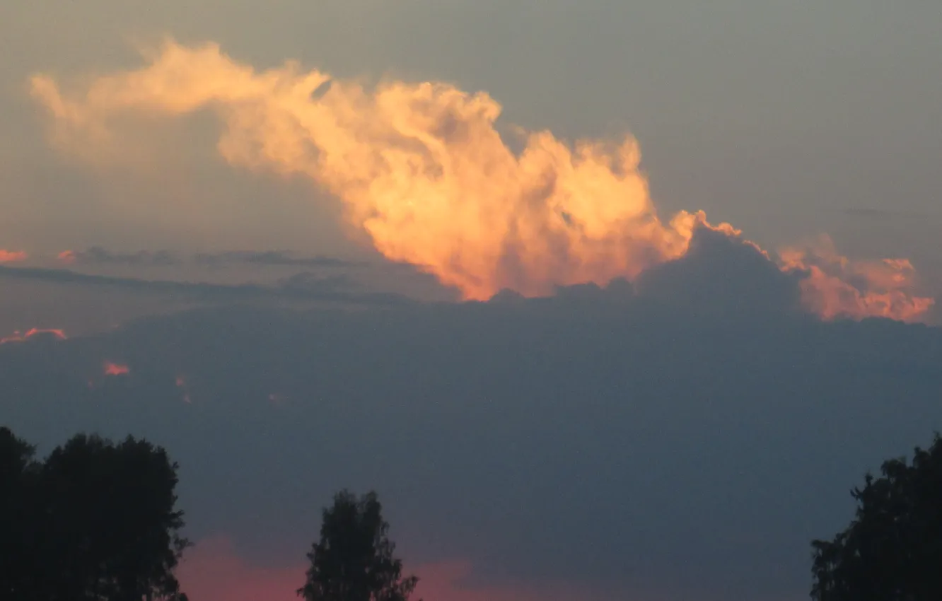 Фото обои небо, деревья, закат, вулкан