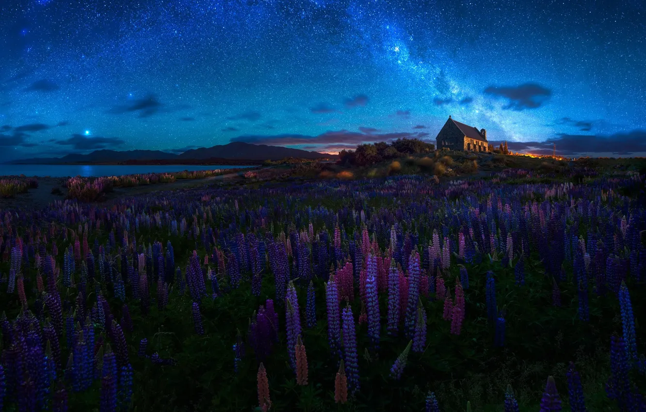 Фото обои лето, небо, цветы, ночь, весна, Новая Зеландия, церковь, храм