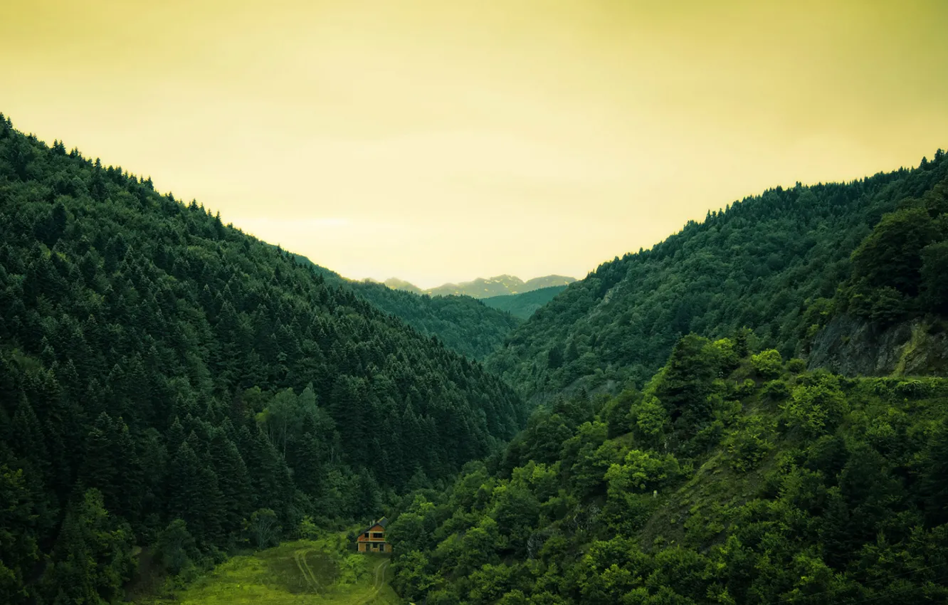 Фото обои лес, деревья, природа, холмы, домик