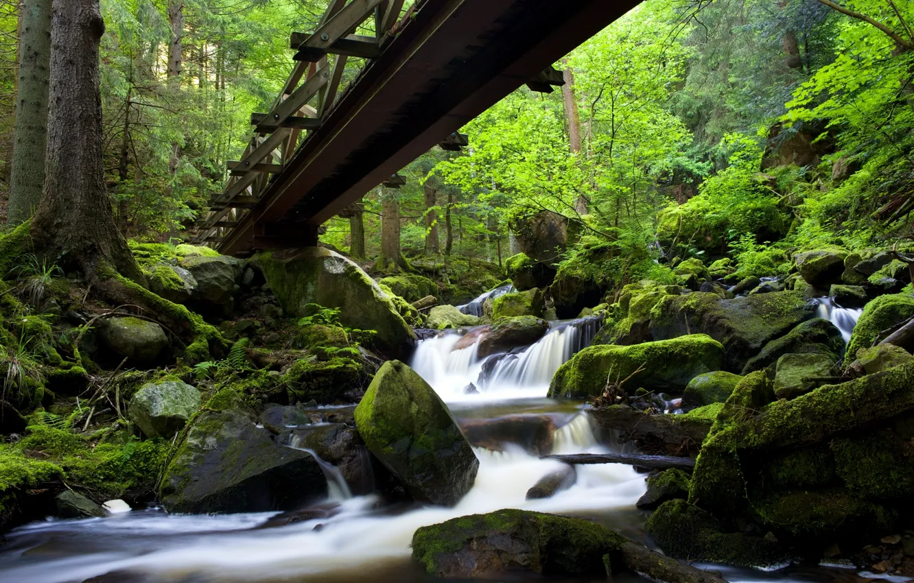 Фото обои лес, мост, река, камни, Германия, каскад, Germany, Баден-Вюртемберг
