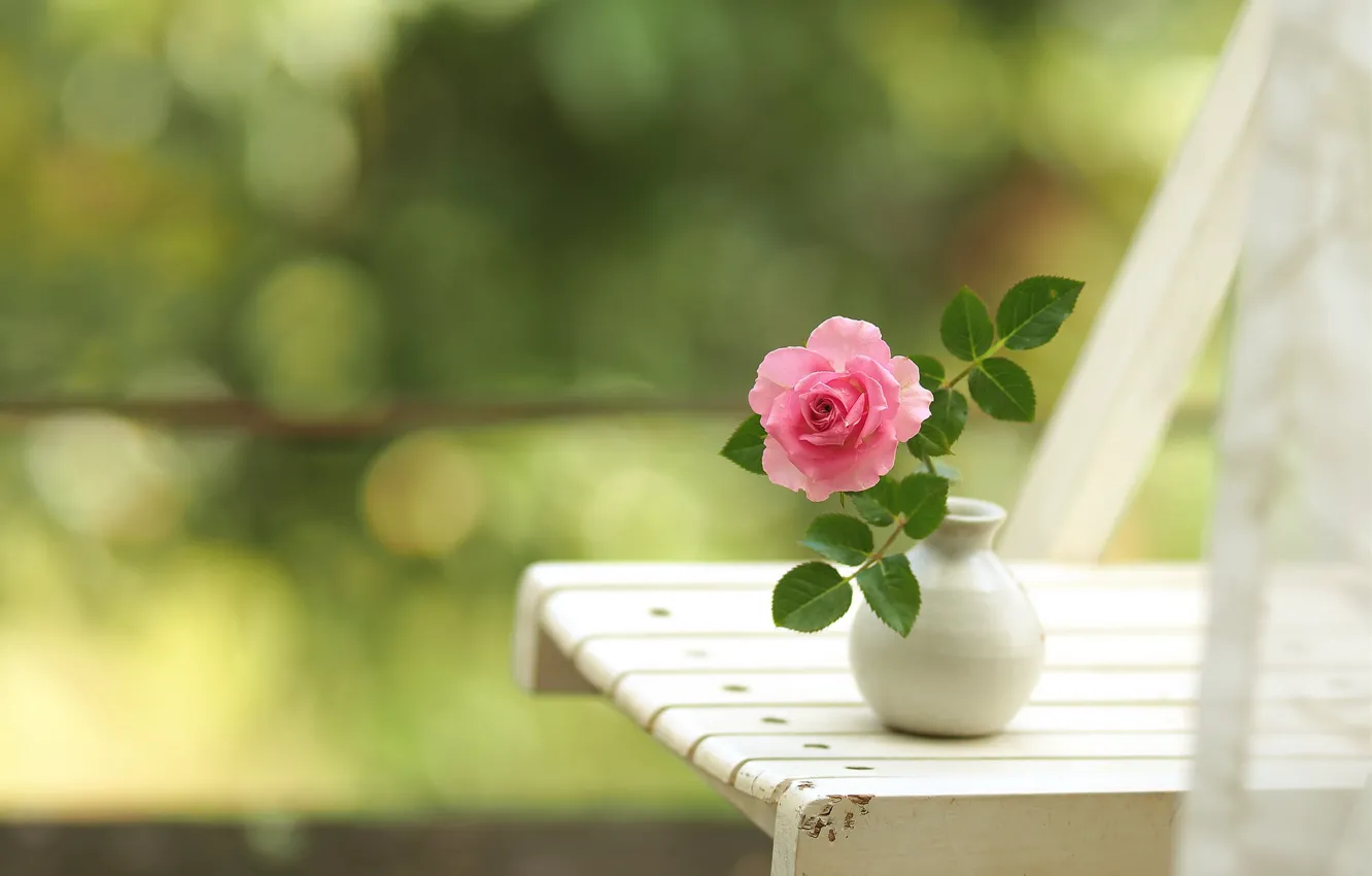Фото обои роза, стул, боке, вазочка