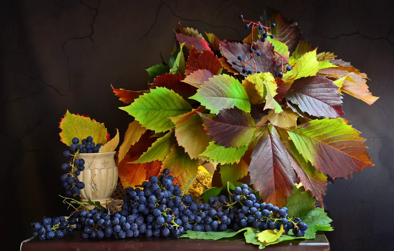 Фото обои листья, ягоды, виноград, грозди
