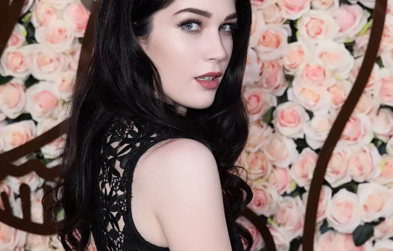 Фото обои взгляд, девушка, модель, брюнетка, красивая, Evelyn Claire, Эвелин Клэр, Kellie Erin Paulsen-Nail