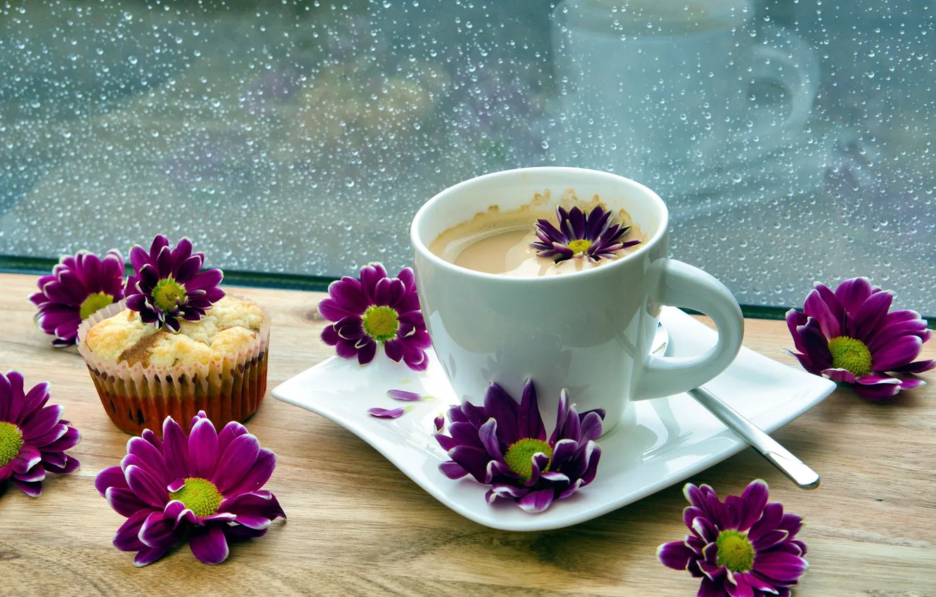 Фото обои цветы, кофе, чашка, хризантемы, кекс