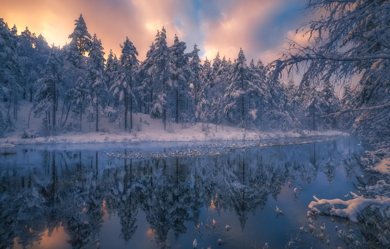 Фото обои зима, лес, деревья, пейзаж, природа, река, ели, Норвегия