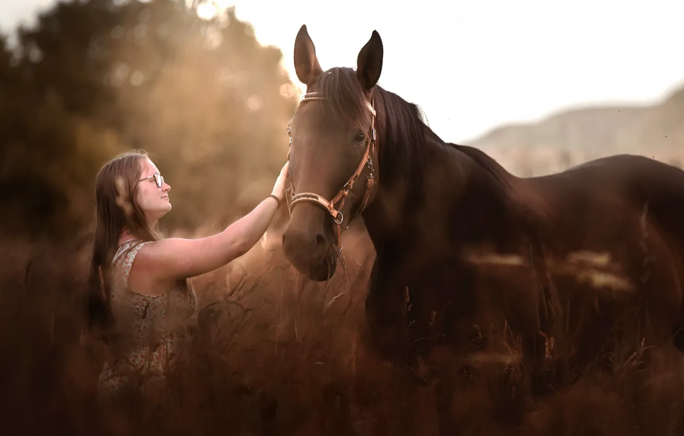 Фото обои природа, конь, женщина