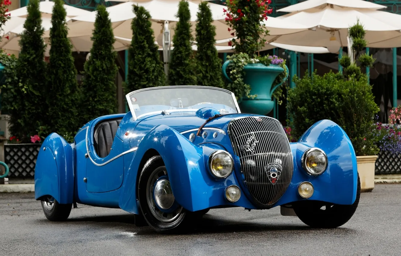 Фото обои синий, ретро, фон, Пежо, Peugeot, кусты, передок, 1937