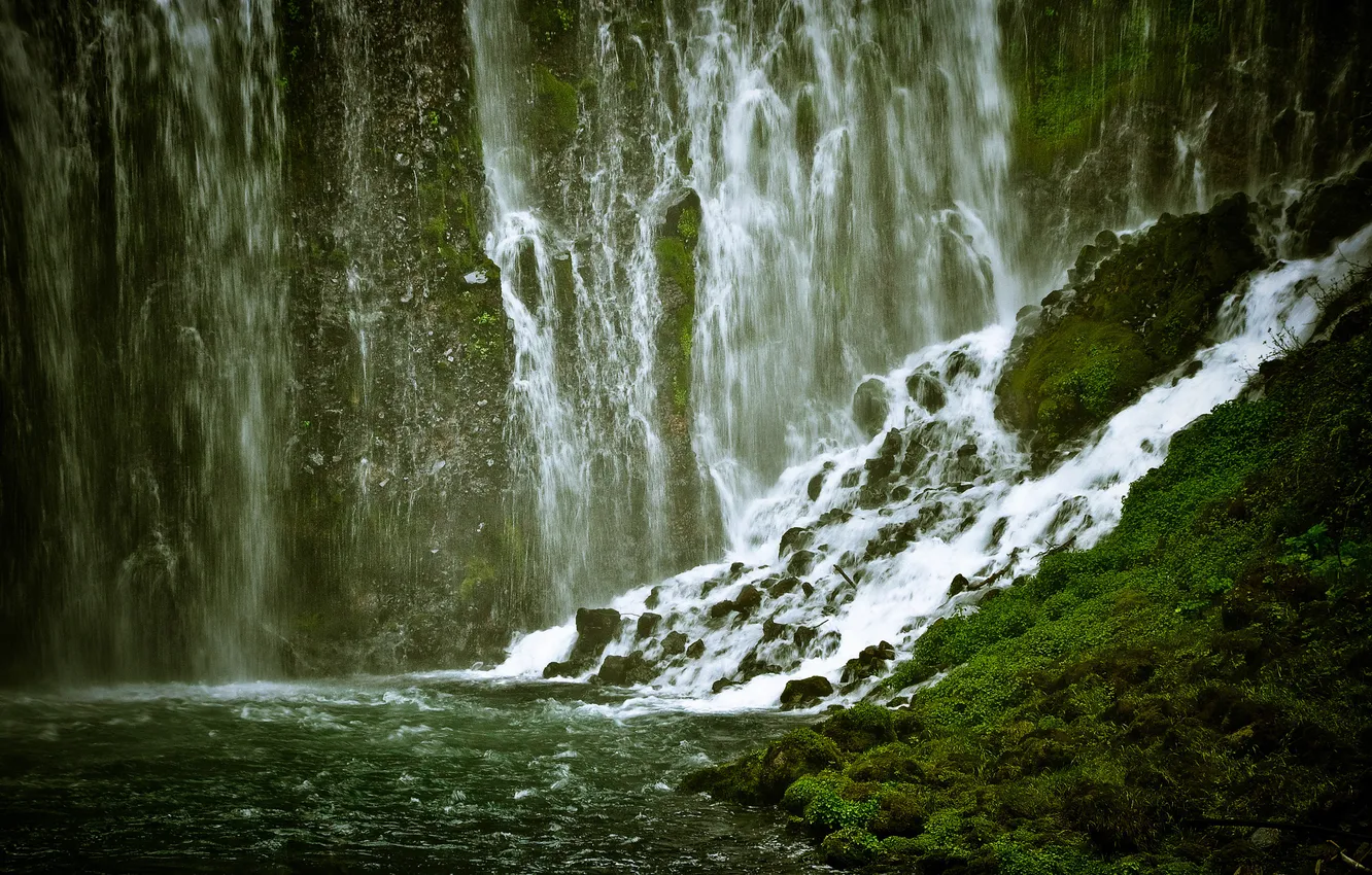 Фото обои зелень, водопад, канализация