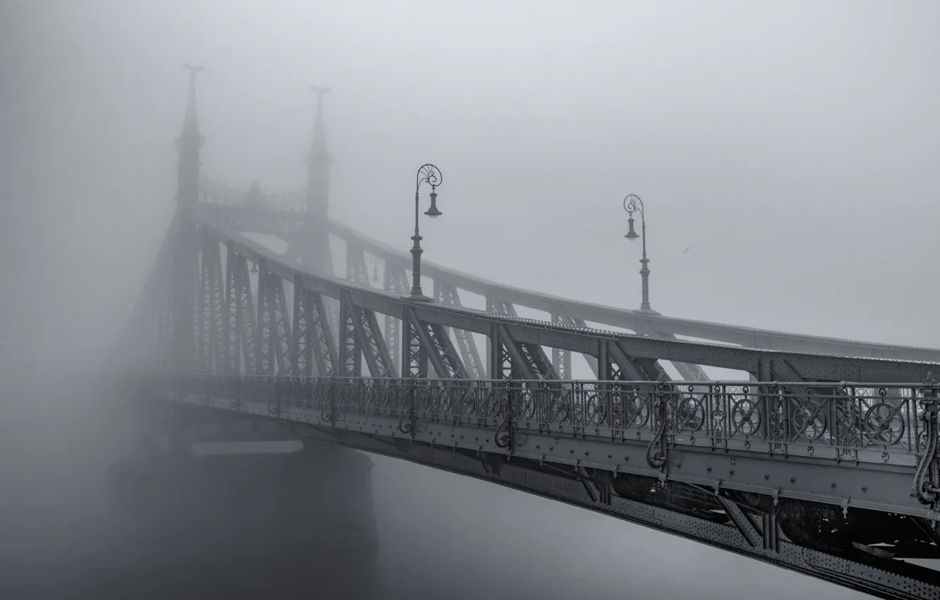 Фото обои мост, город, туман, дымка, чёрно - белое фото