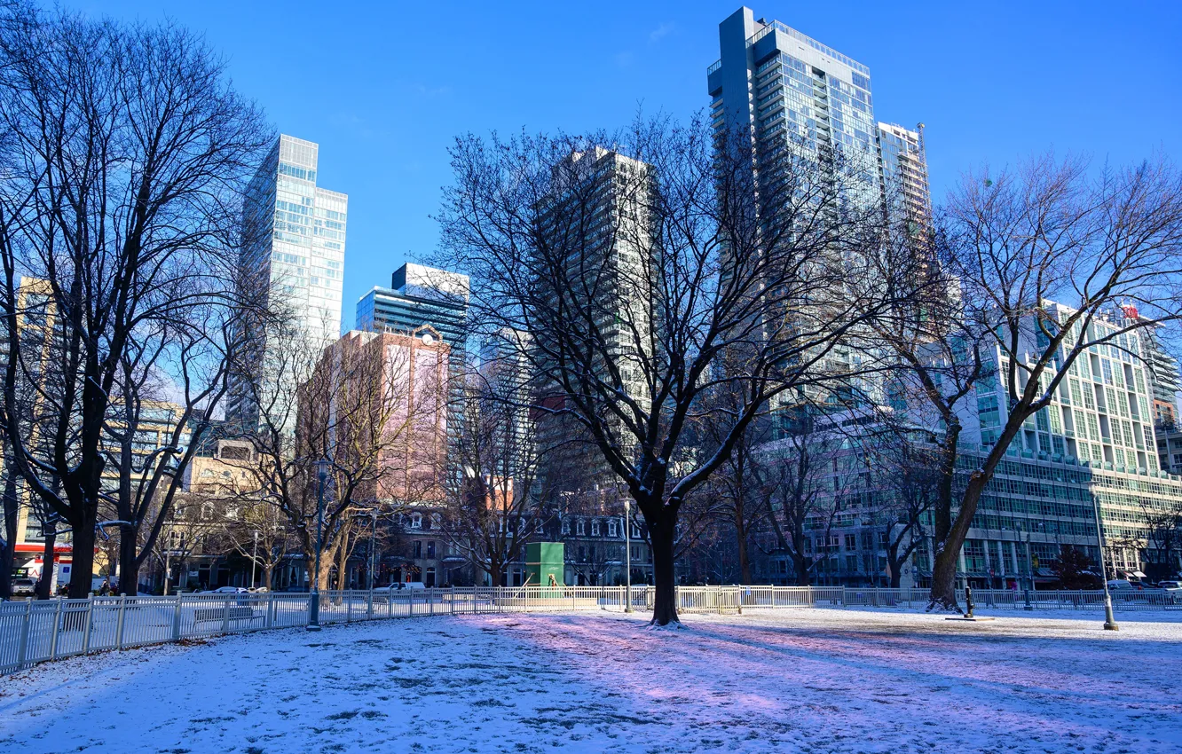 Фото обои зима, небо, солнце, снег, деревья, синева, дома, Канада