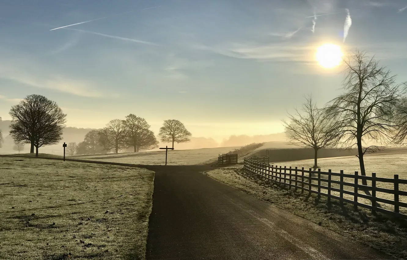 Фото обои дорога, туман, утро