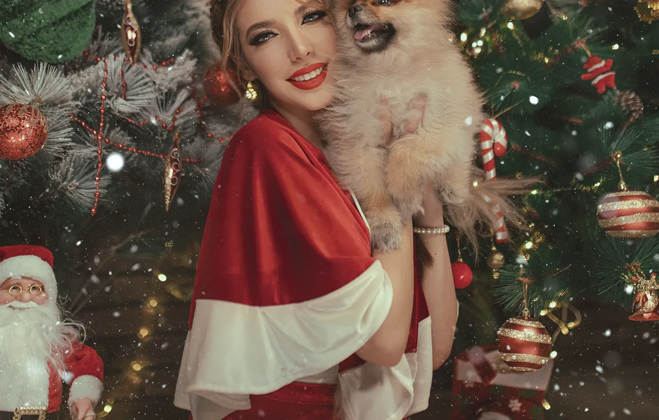Фото обои девушка, украшения, улыбка, праздник, игрушки, новый год, собака, макияж