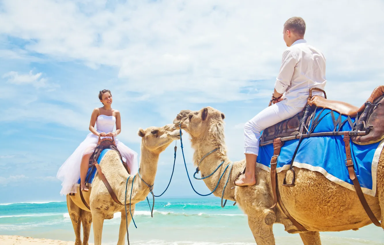 Фото обои море, пляж, beach, sea, верблюды, влюбленная пара, camel, couple in love